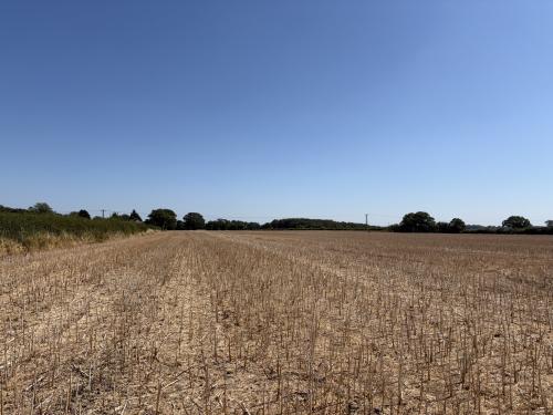 29.62 Acres, Sparham, Norwich, NR9