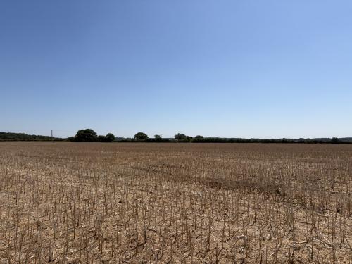 29.62 Acres, Sparham, Norwich, NR9