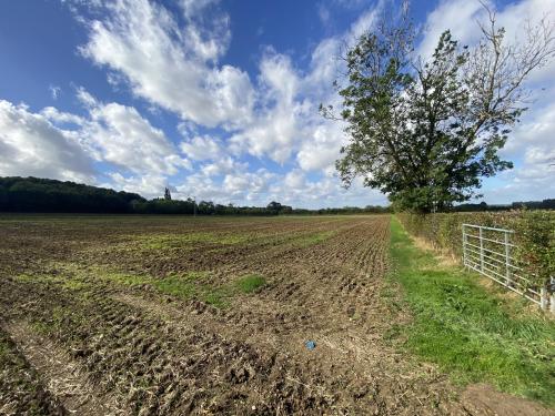 3.21 Acres, Church Lane, Navenby, Lincoln, LN5