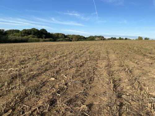 11.5 Acres, School Road, Horning, Norwich, NR12