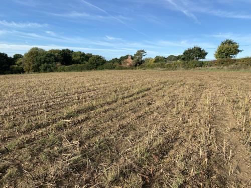 11.5 Acres, School Road, Horning, Norwich, NR12
