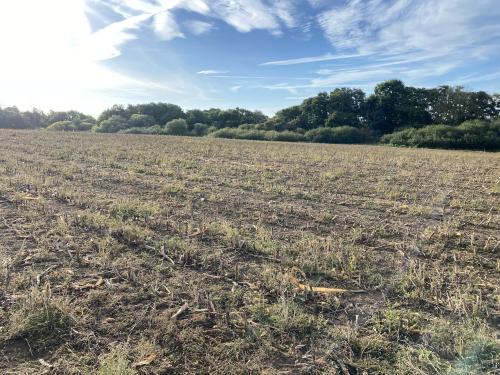 11.5 Acres, School Road, Horning, Norwich, NR12