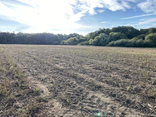 11.5 Acres, School Road, Horning, Norwich, NR12