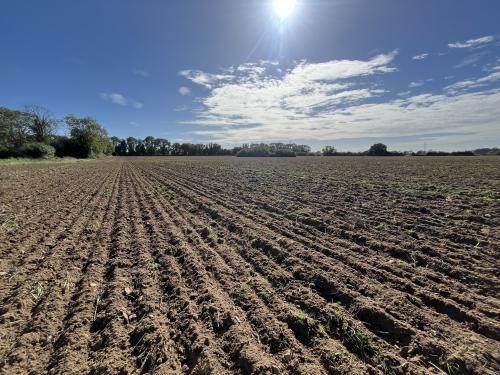 26.89 Acres, Winch Road, Gayton, King's Lynn, PE32