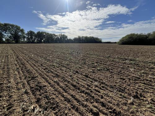 26.89 Acres, Winch Road, Gayton, King's Lynn, PE32