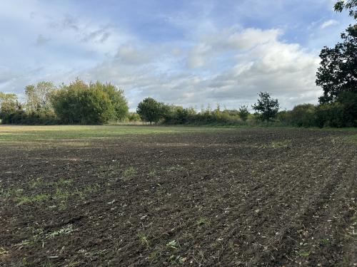 26.89 Acres, Winch Road, Gayton, King's Lynn, PE32