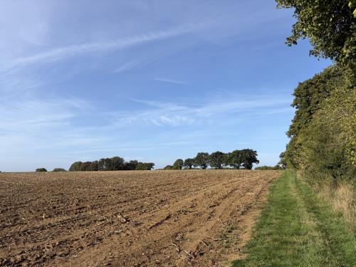 41.02 Acres Lot 4, Church Road, Runhall, Norwich, NR9