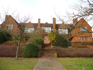 The Manor House Chineham Court, Great Binfields Road, Lychpit, Basingstoke, RG24