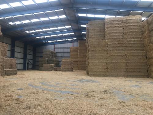 Unit 1b, Old Rides Farm, Leysdown Road, Eastchurch, Sheerness, ME12