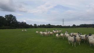 Main Street, Holwell, LE14