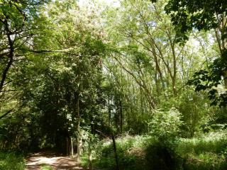 Bradmore Road, Wysall, NG12