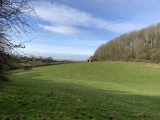 Tofts Hill, Stathern, LE14
