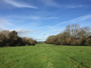 6 Acres, Greetham Road, Stretton, LE15