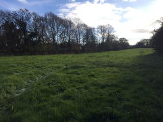 6 Acres, Greetham Road, Stretton, LE15