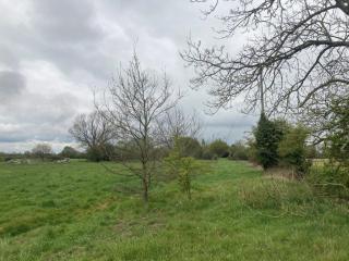 7.5 Acres, Kettlethorpe Road, Fenton, LN1