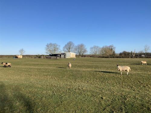 Ashwell Road, Langham, Oakham, LE15