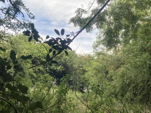0.25 Acres, Seaton Road, Oakham, LE15