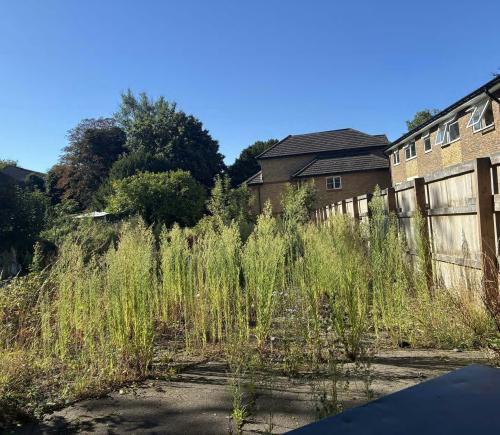 0.58 Acres, Southend Road, Beckenham, London, BR3