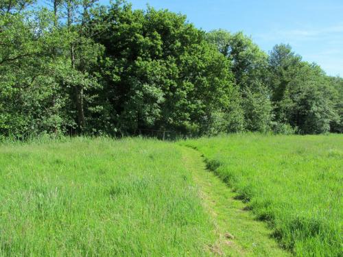Wadehall Lane, Beccles, NR34