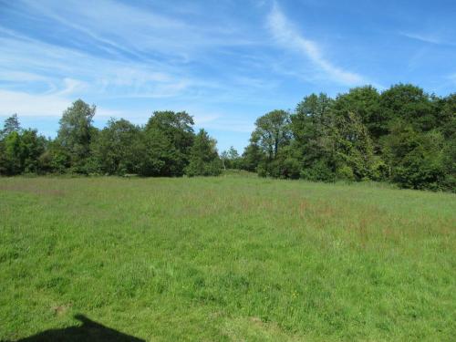 Wadehall Lane, Beccles, NR34