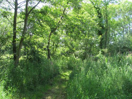 Wadehall Lane, Beccles, NR34