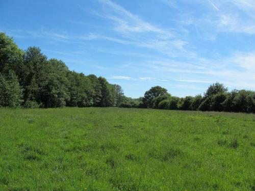 Wadehall Lane, Beccles, NR34